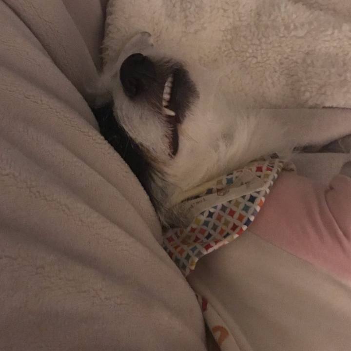 9630c207 6f01 4803 a99c a90bd2c56785 1544278916683