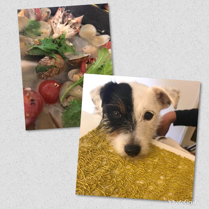 9630ecf4 0510 4095 8f75 c94fb967b2c2 1512397752164