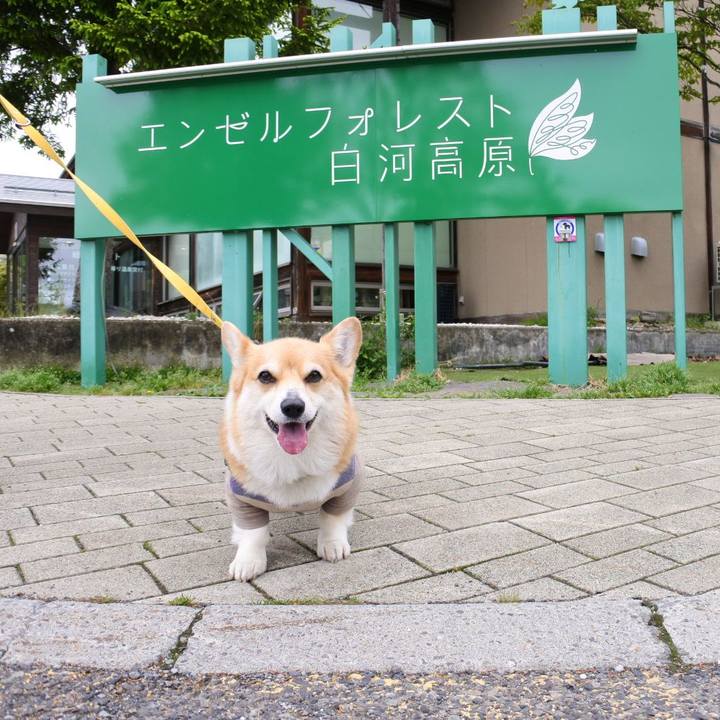 9630fa32 ee31 47eb aca9 415be20a2923 1684889288476