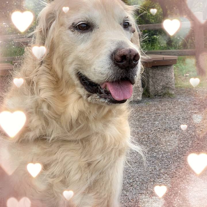 9631560c 36ca 4435 a66a 61f594795f7a 1622175535642