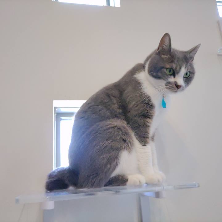 9631c002 8eb2 4691 9de3 569b7482f6bb 1722410873332