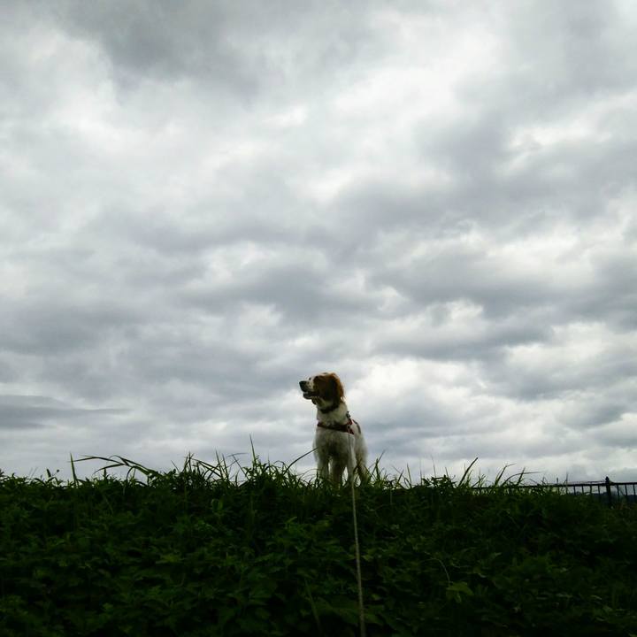 96320d12 b282 4900 9d69 792de3942b48 1538206165588