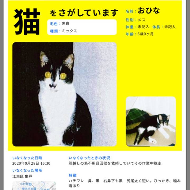 96324a01 3358 4ab8 88c4 b714b7c7d0fd 1603963432884