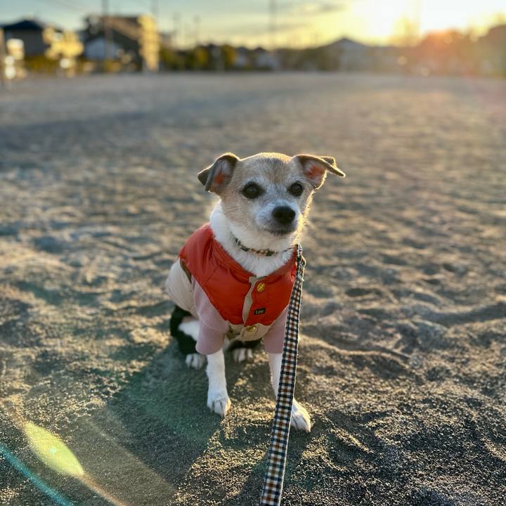 96325d42 57c3 4aaa ab87 910c5e329593 1676847606181