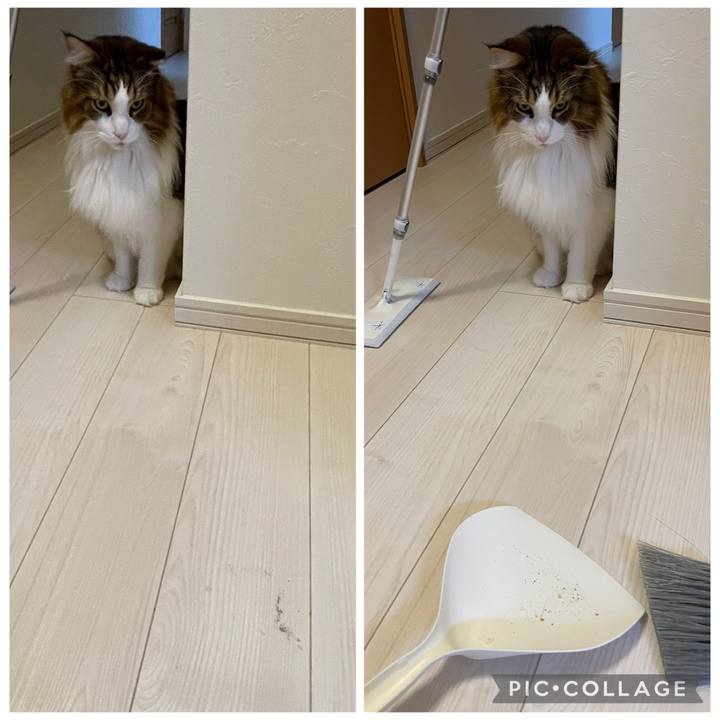 96329f7c 02e0 4e4e 81bc 0c2d9e5bc799 1762981365610