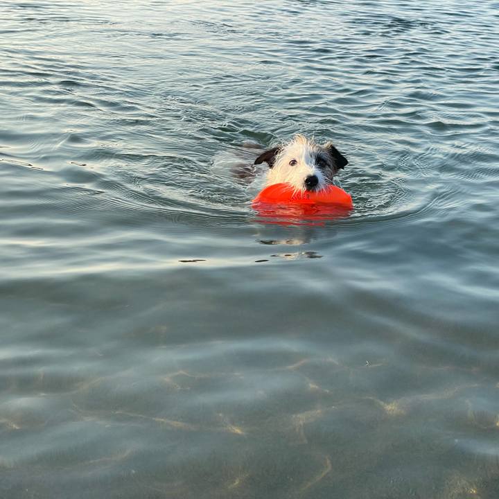 9632a8d0 b770 452b b44d efdaccfa478f 1722686785186