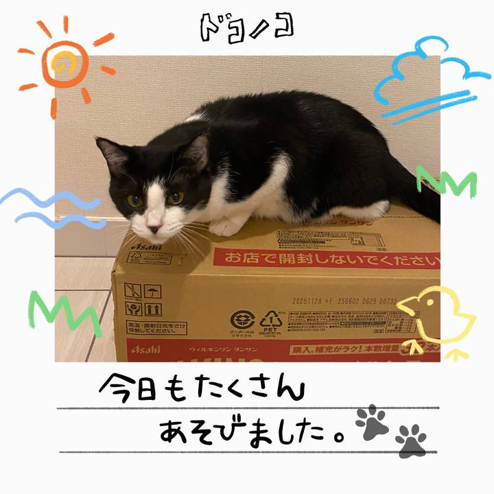 9632c0ab 16b1 4a3a 8681 1b474012fb02 1755140040786