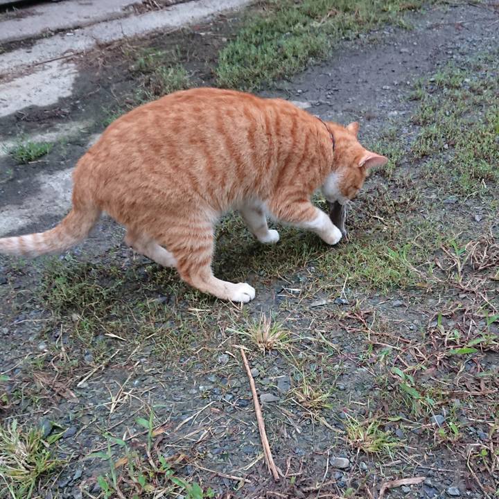 9632c7cd a6a9 46e0 827e 70f64a43e5c7 1567629806014