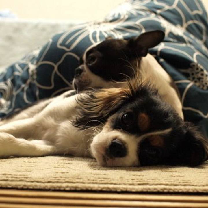 9632ce64 385c 458c 83dd a4159fa90dbe 1624796960018