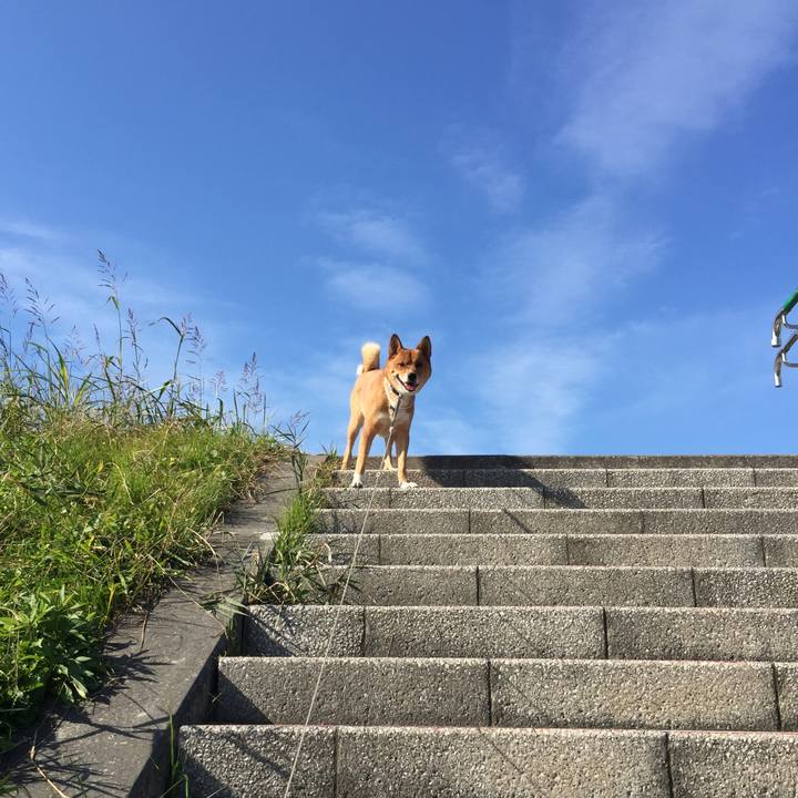 9632d481 819a 4a01 80a8 4cea576c5eb9 1542442123895