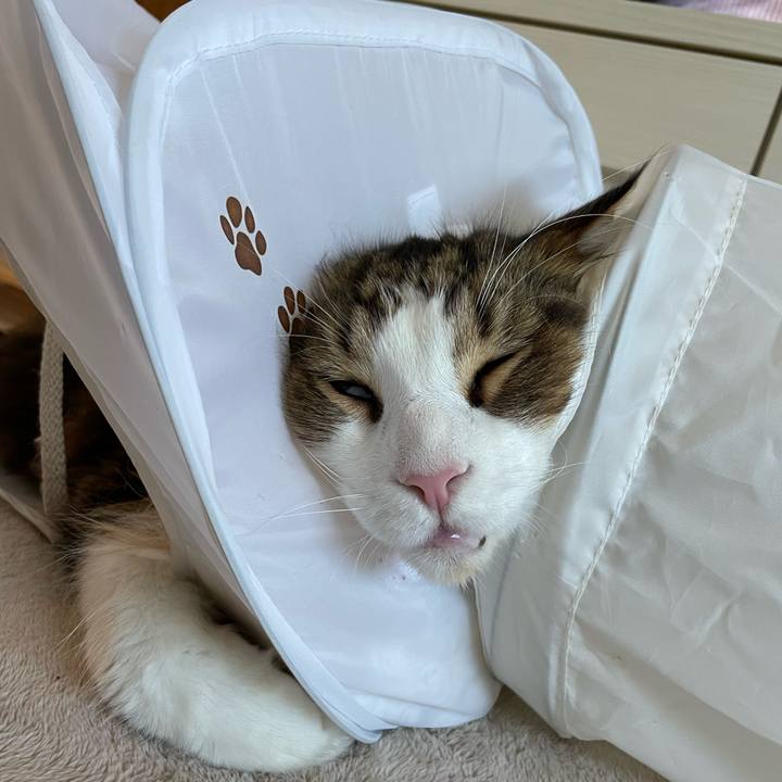 9632e58f 5f9d 4168 8314 844ba620bde0 1699143119916