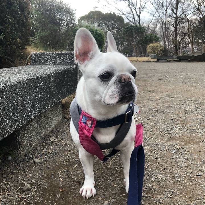 963382b4 b3df 47f2 9558 c9cf8e297098 1616246926406