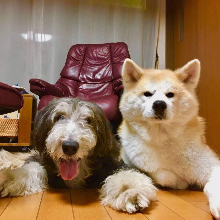 963396c4 c54f 4a82 8896 236cbdce0350 1535371180276