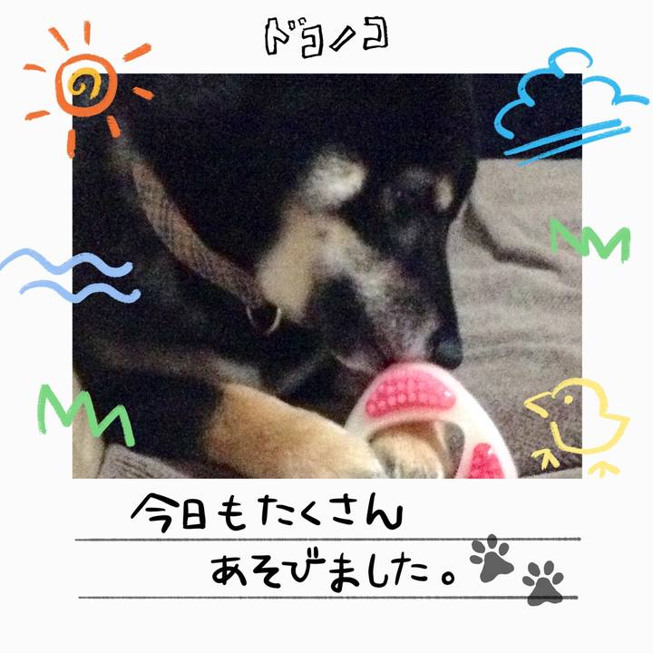 9633a0a5 63b5 4ab7 a6e1 d98ab994af77 1755057679735