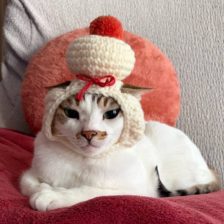 9633a46f 222e 44c0 81d4 8e71915bf5d1 1767230266797