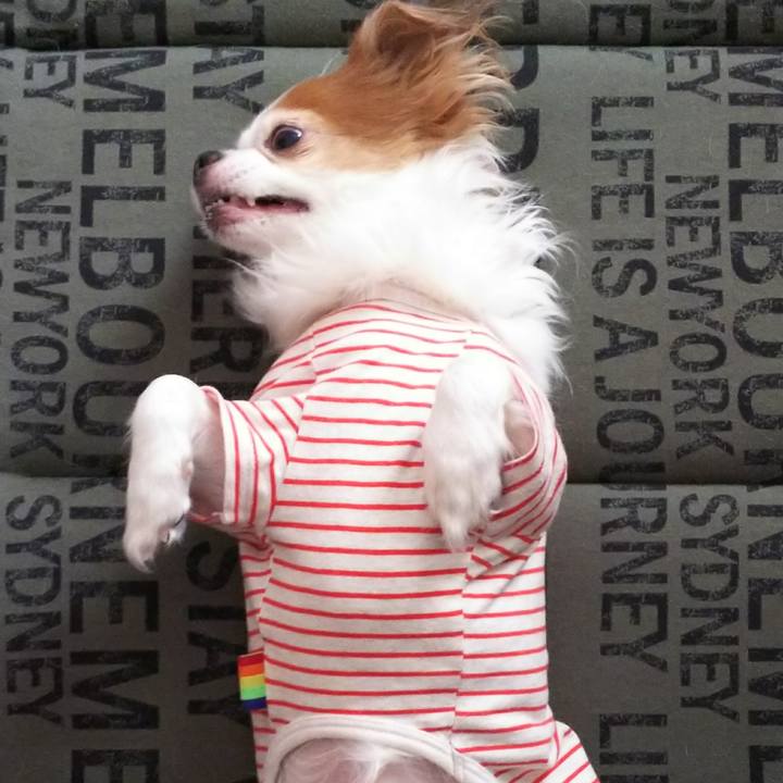 963455f9 0b7a 4537 b908 32ff66a1f6be 1521777187540