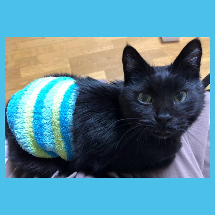 9634997d ac45 4762 b87a 546065b05b43 1611494042740