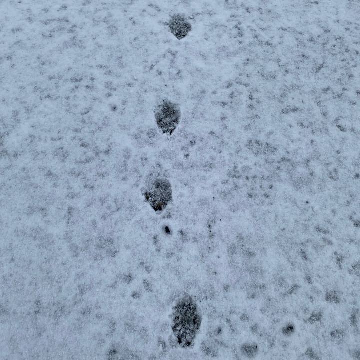 9634c5aa 2340 45c4 8173 b3c5cbae664e 1674599511844