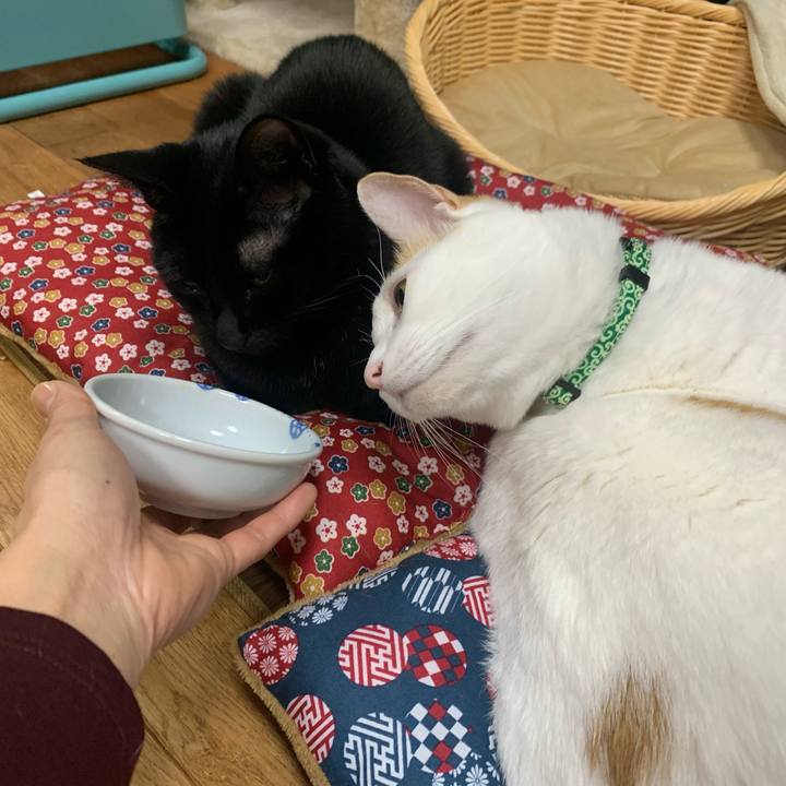 9634db3b f022 40c1 b6b2 af6f13b46ed1 1578742049917