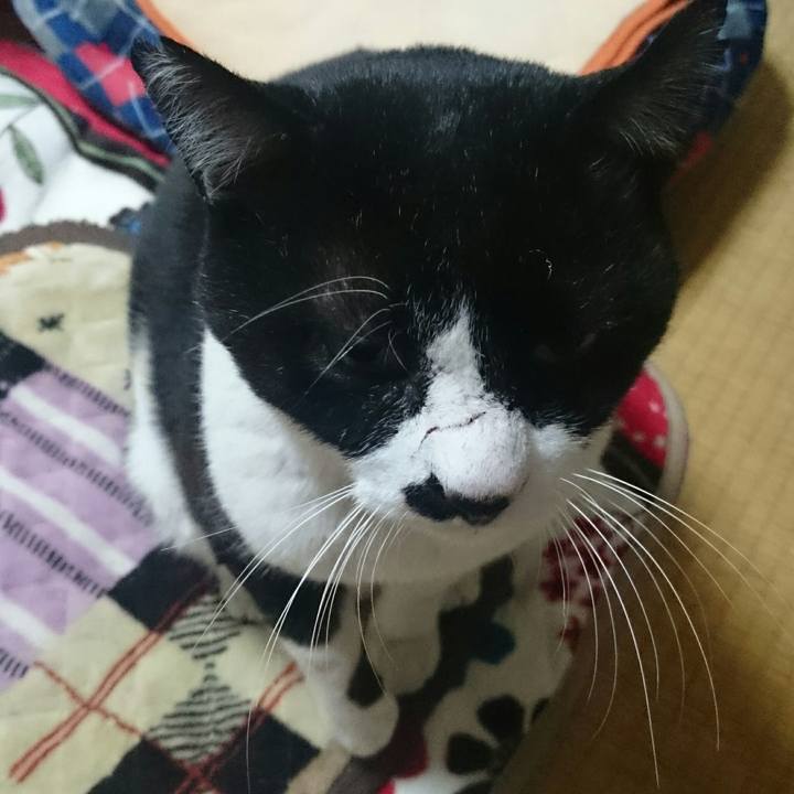 9634e57f 76b5 40a8 96ff bc9c4ff8a6d4 1512429054277