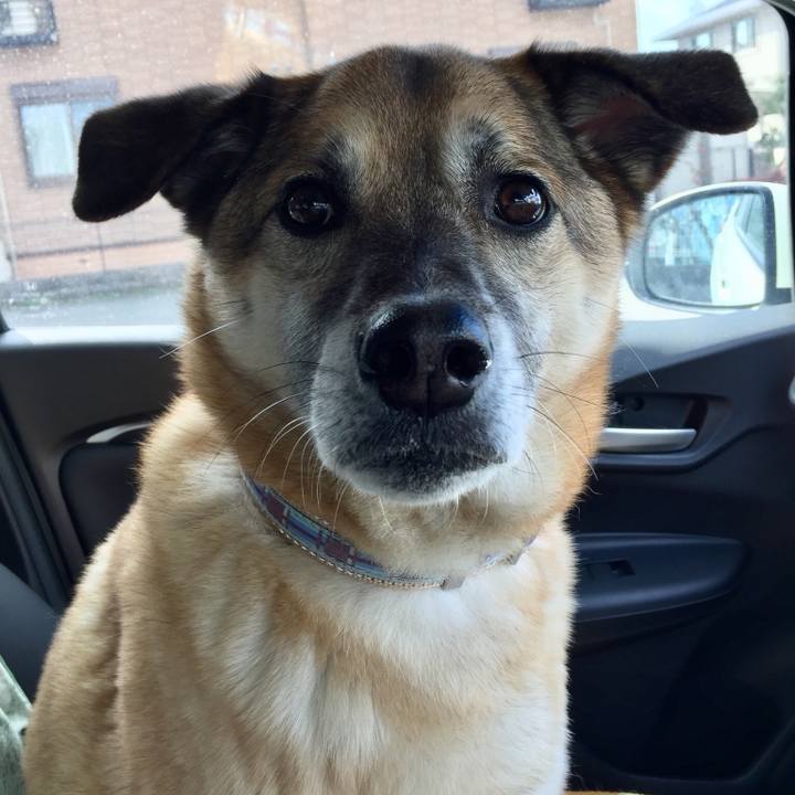 9634ed26 4238 4ade 919d 80b6eac7d349 1519866695522