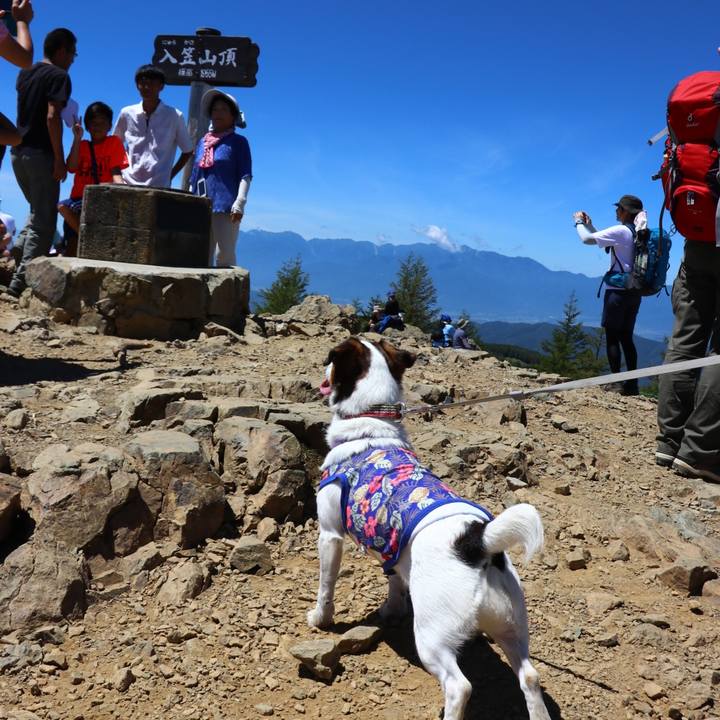 96350907 89a8 48f8 8bad 0ef81f663425 1597459801891