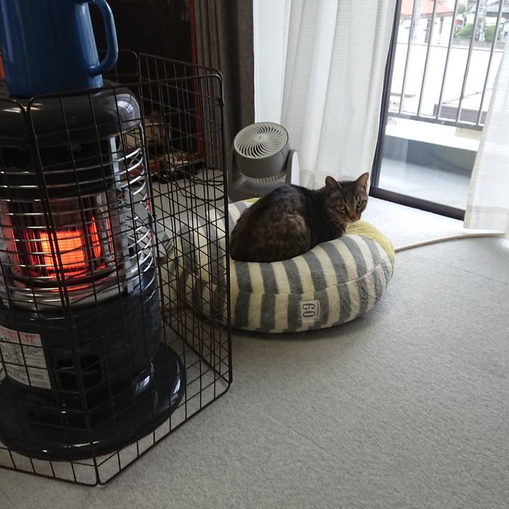 96351628 2ffb 4402 be7a ad494e5fb6ed 1576887731250