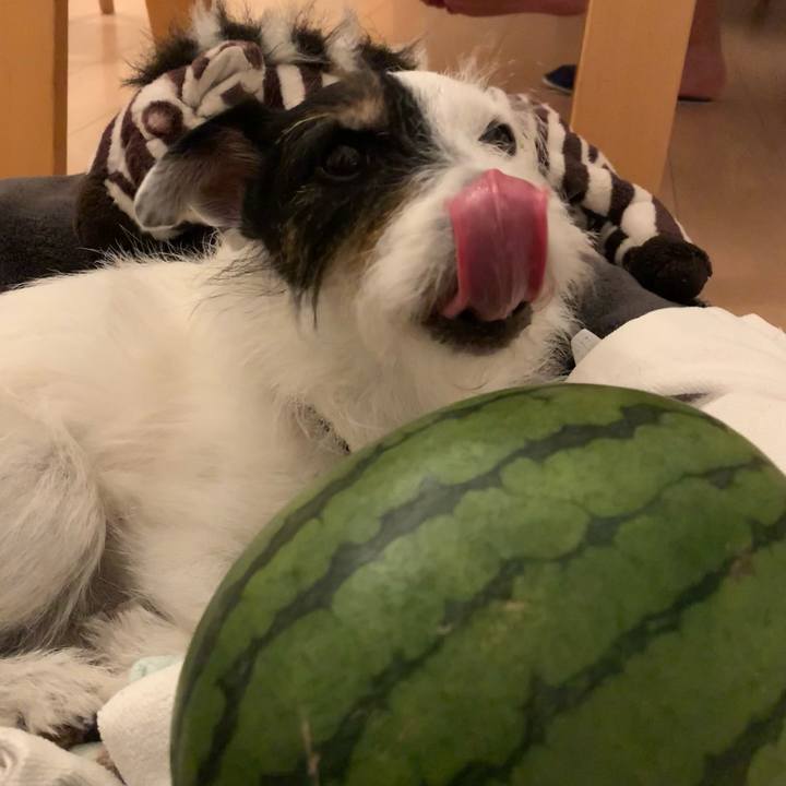 96353654 2bd1 4640 bd33 d3df19bf2149 1721739012733