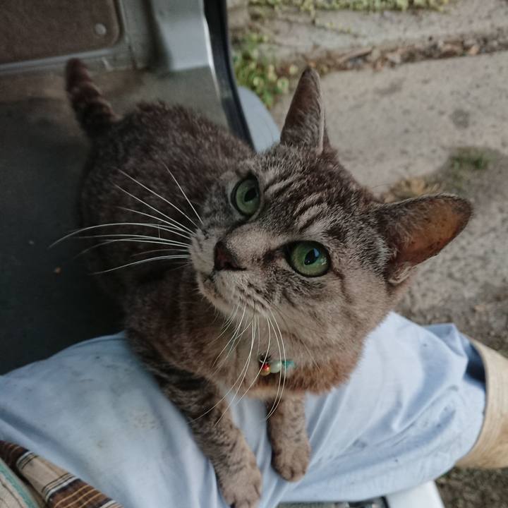 96355571 1e39 411a 8833 8cae5452b954 1569962850409