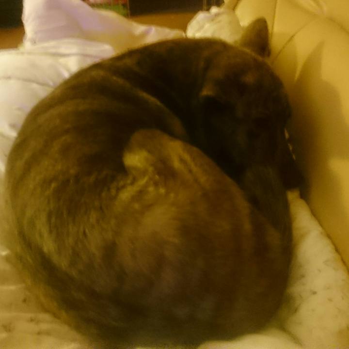 963555eb f212 427e bbb1 208dcb70a92d 1518605571207