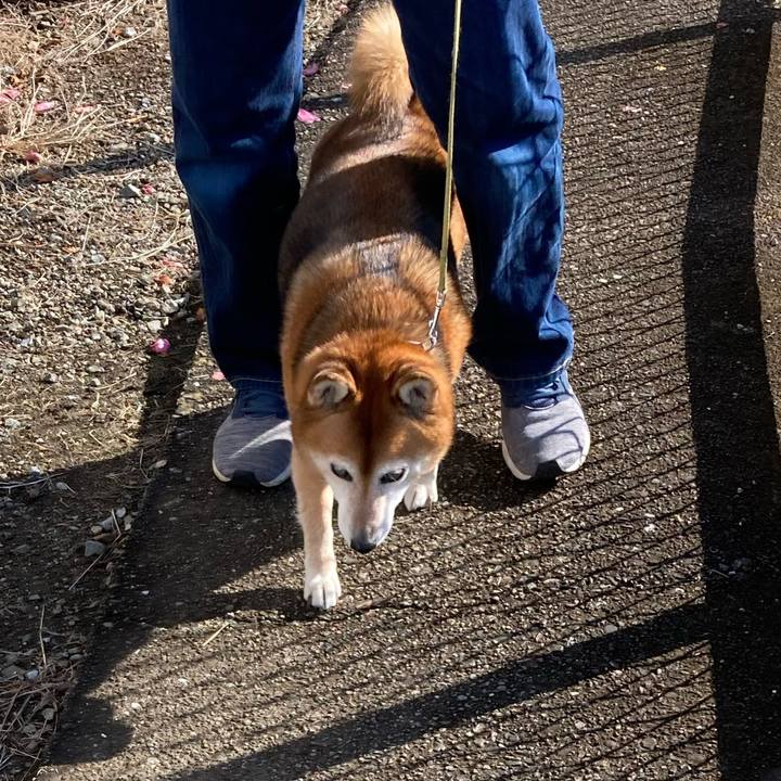 96358988 08bb 48b7 b84b 6172e38a12ac 1671344949993