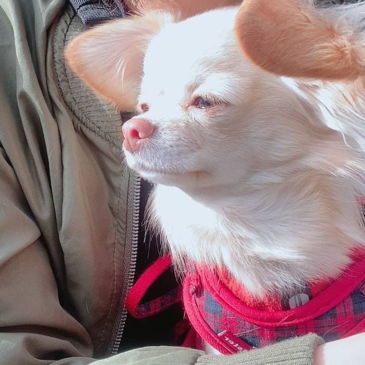 9635a89f 2bad 4b66 9150 cd51cfb8044d 1613642722331