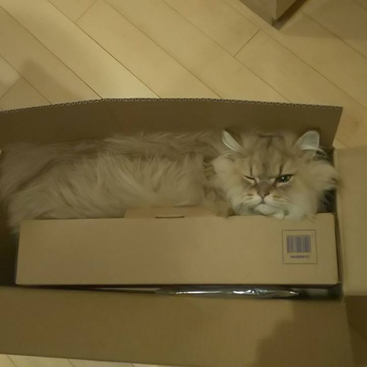 9635b13e 358d 47ba 8960 e942dd3d553e 1582172494258