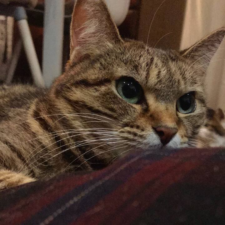 9635b8b3 f042 4fbb ae9c ac9d64320ee5 1607743651859