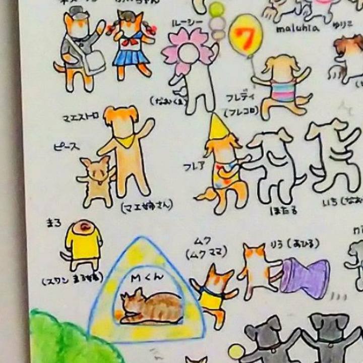 9635ce75 22e3 46c6 afc9 8ae1b431a088 1703502106888