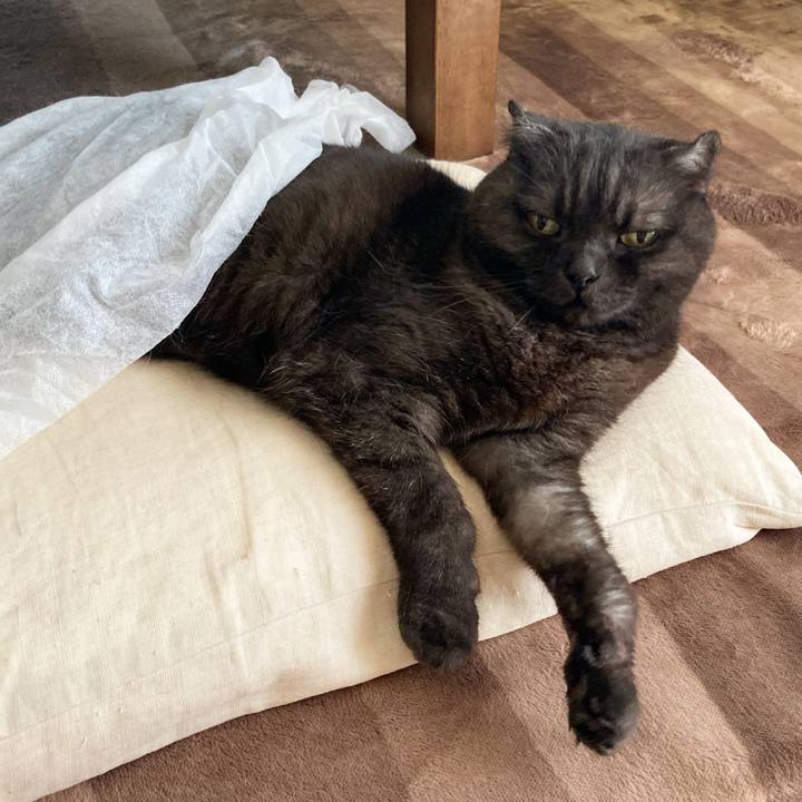 9635d33c e8fa 4228 b7a8 16eca255e196 1623767110098