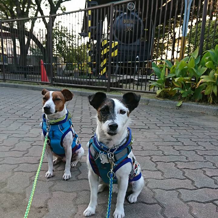 963611e1 ff40 4cdf bfb1 25b403748a77 1572676207267