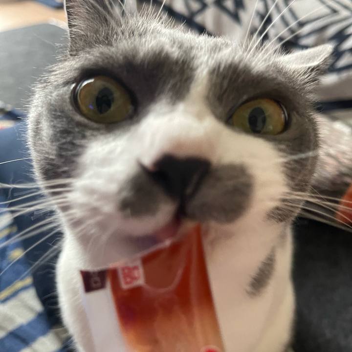 9636247b a22a 4933 8d88 100ade69e177 1686291380884