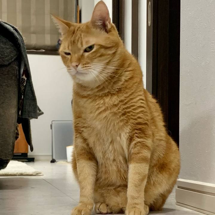 963627e7 25fb 42eb 9320 c253b775f5b9 1631573834820