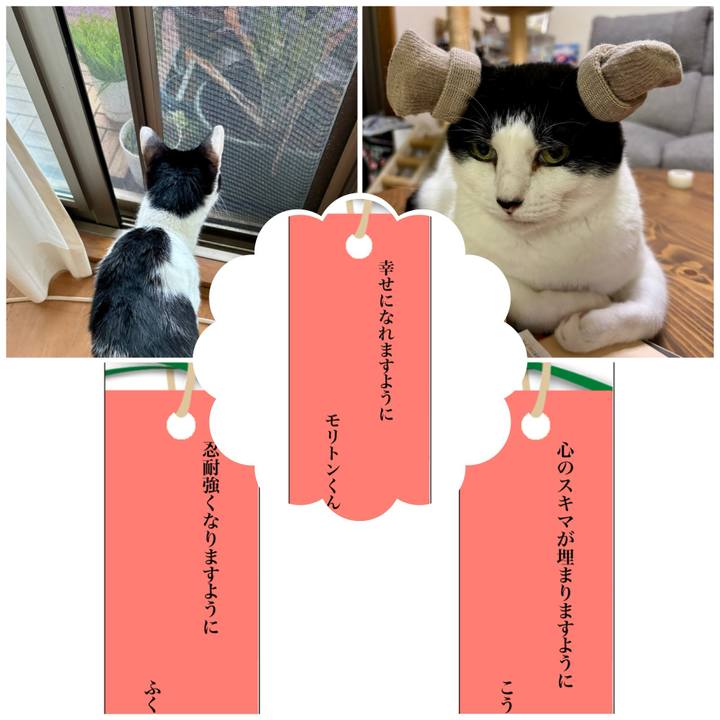 96362908 9dd0 4d57 b460 a5c537b62909 1751914163093