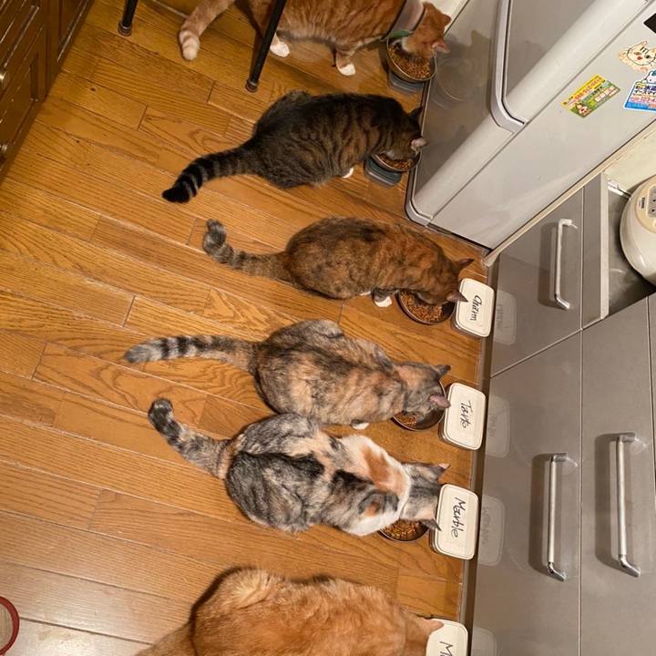 9636a525 771f 46d2 91ec 1760f06b98cb 1628741439593