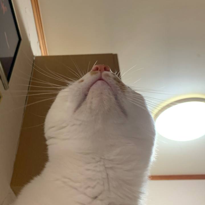 963708b5 807e 442c 902b 0774f4ea579e 1571927630536