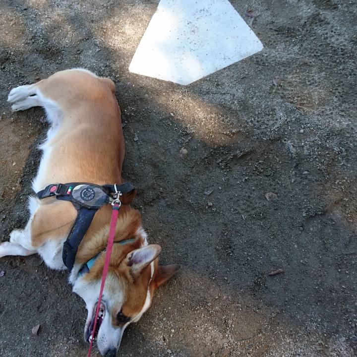 9637230b 85b2 41d0 8e2d 9ff1b5d1ee17 1634264209012