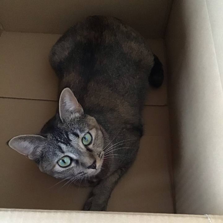 963726dd 9715 4fd4 9ba0 445c600ed52a 1599379355448