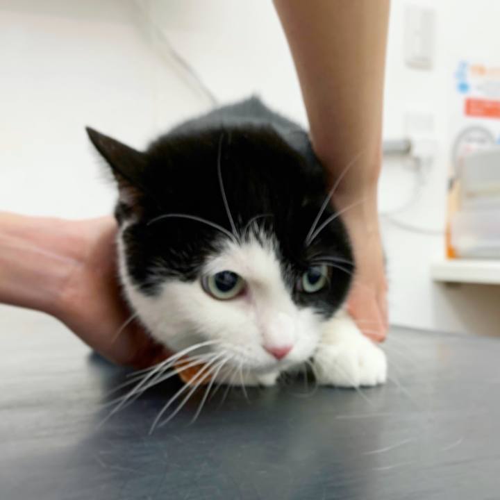 96374081 96e0 448d ba91 6251bb8cf612 1575033478006