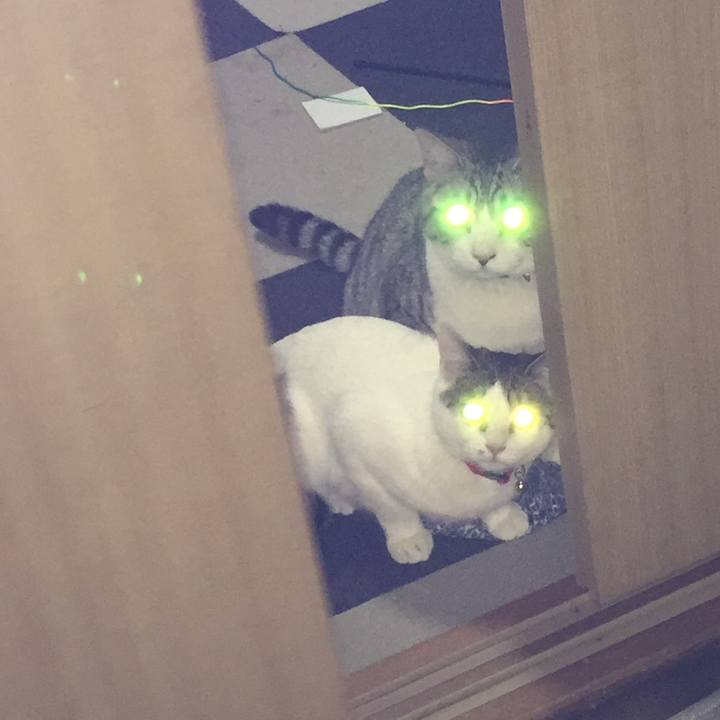 963779e9 44da 4a38 9c87 1fc3292a9648 1518096682969