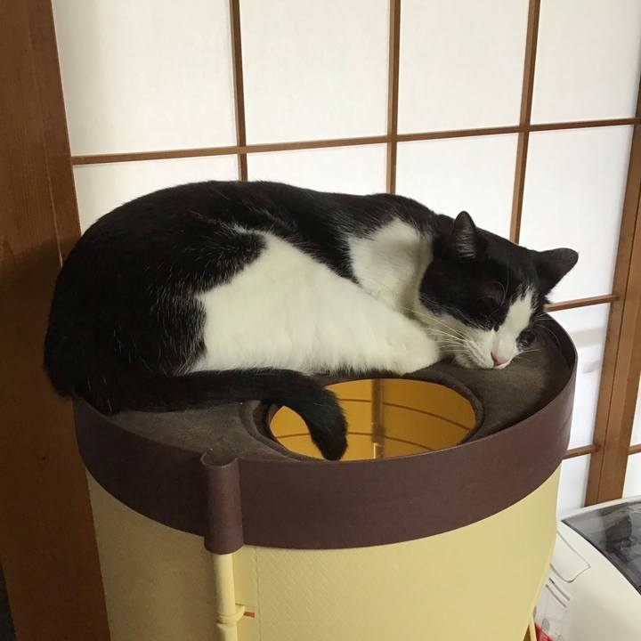 96379ff7 ad9c 458f 890d 403b3ee8379b 1690550650891