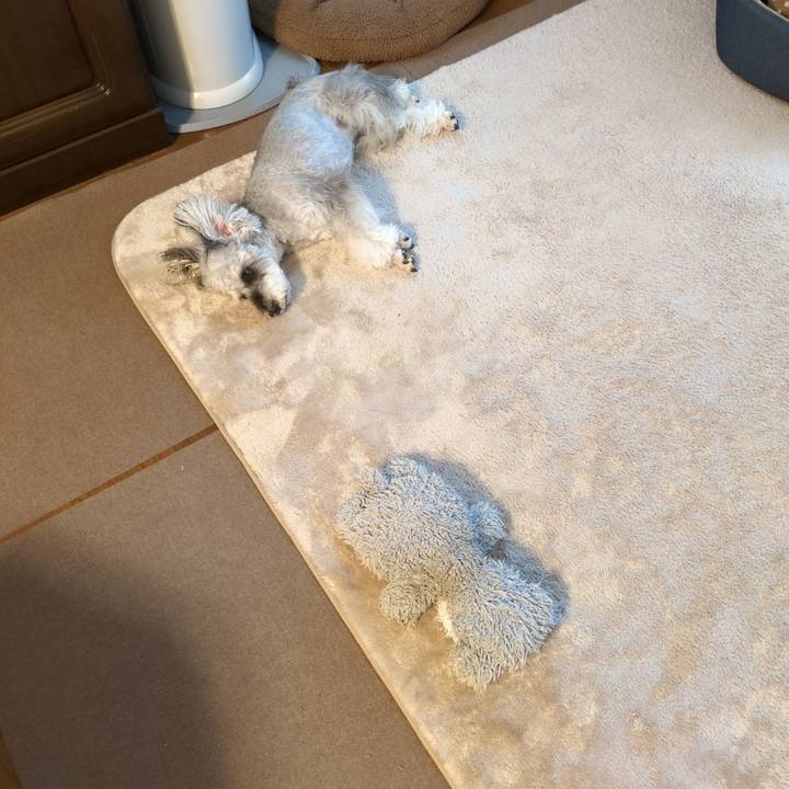 9637a579 e1da 4630 a68b e54266175e7f 1757815006427