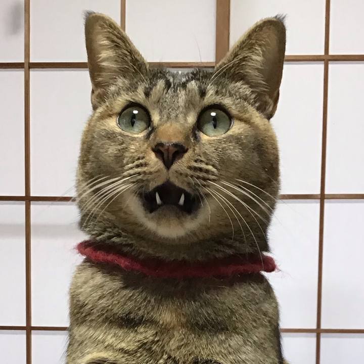 9637a5f5 f966 45d5 ac82 a44c9b3f6a35 1611802219905