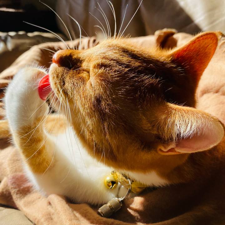 9637ae1c 721b 4bda a7e2 e96bf87dd22b 1604548041174